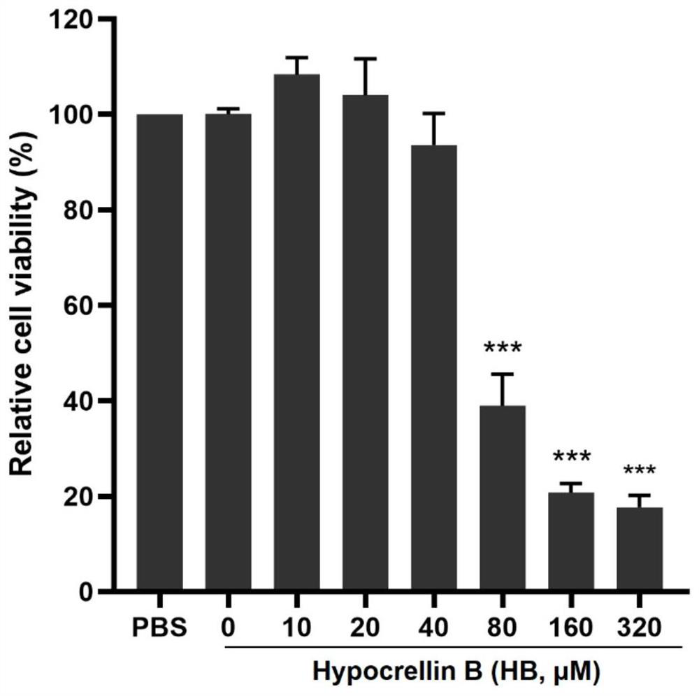 Application of hypocrellin B to preparation of medicine for preventing and treating African swine fever