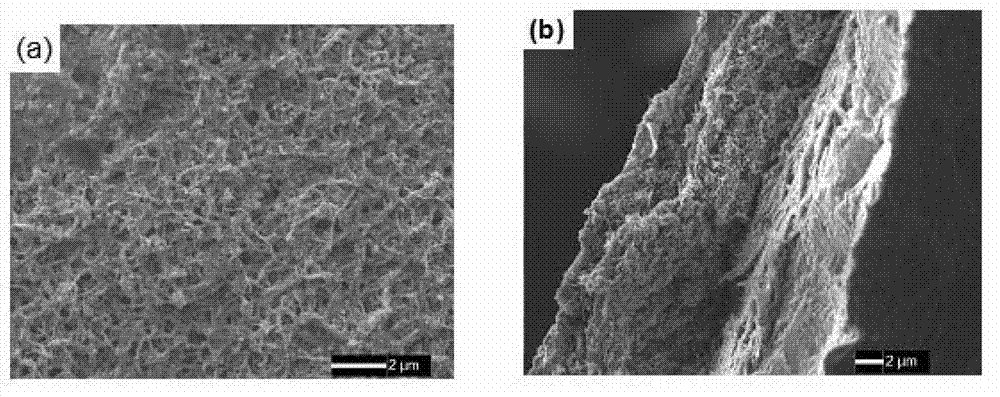 Method for preparing carbon nanotube composite conductive hydrogel coating modified electrode