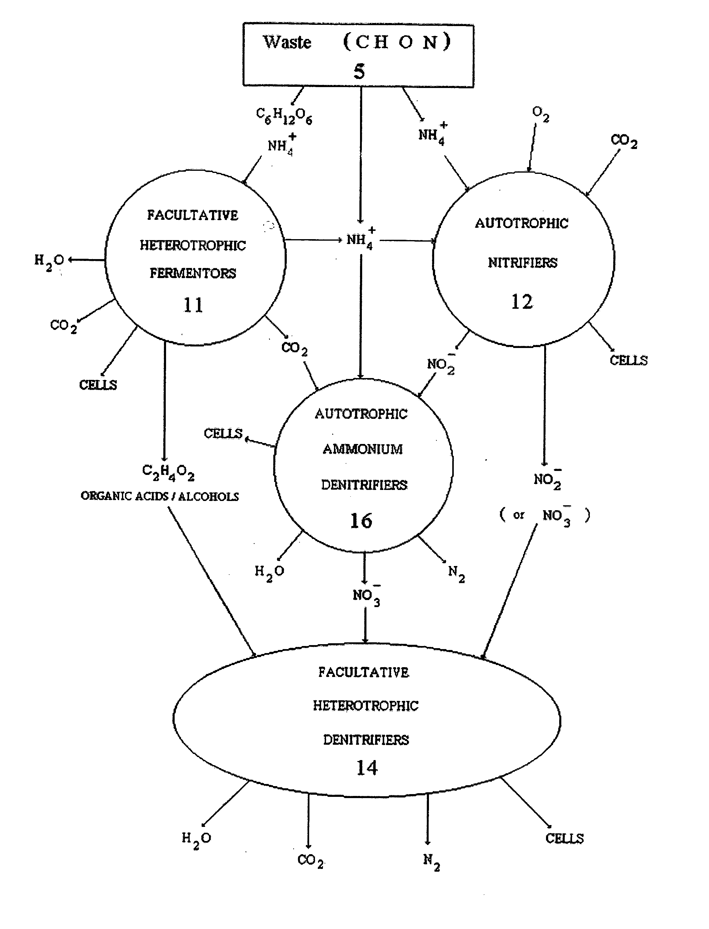 Low oxygen biologically mediated nutrient removal