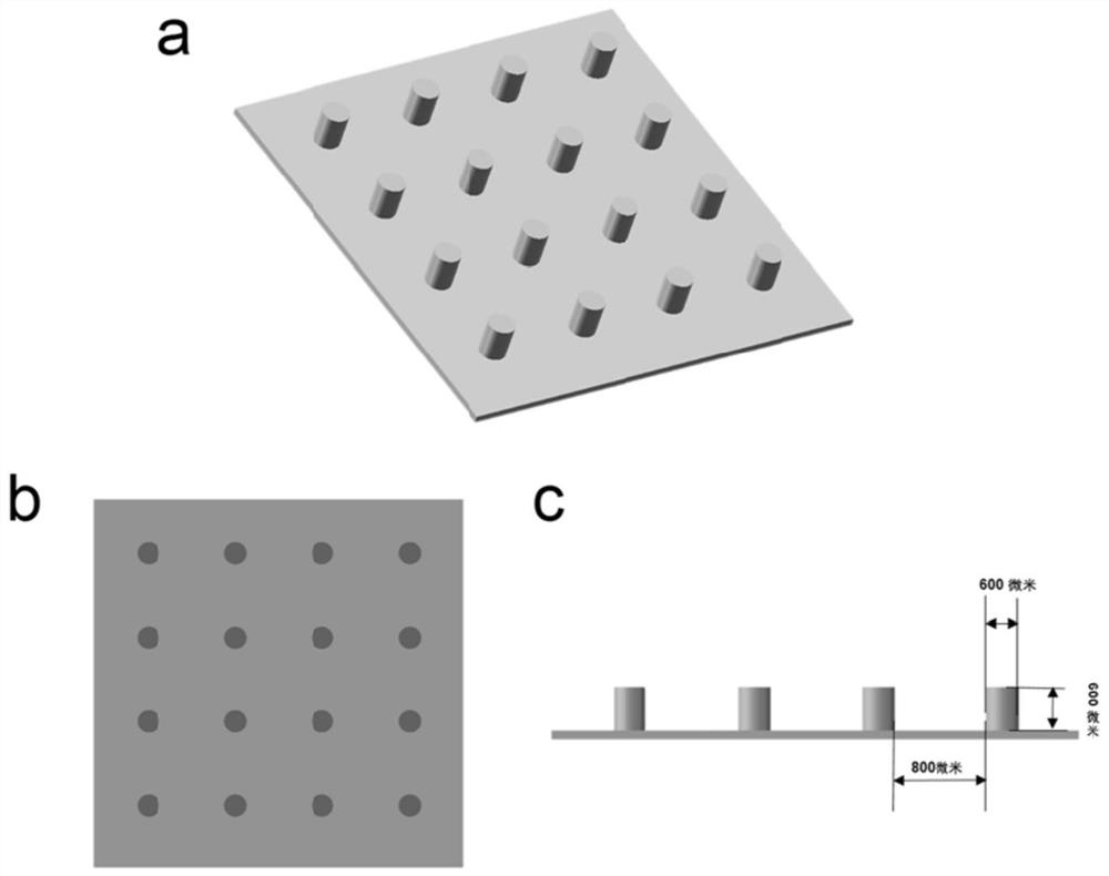 A preparation method and application of 3D printing microneedle patch