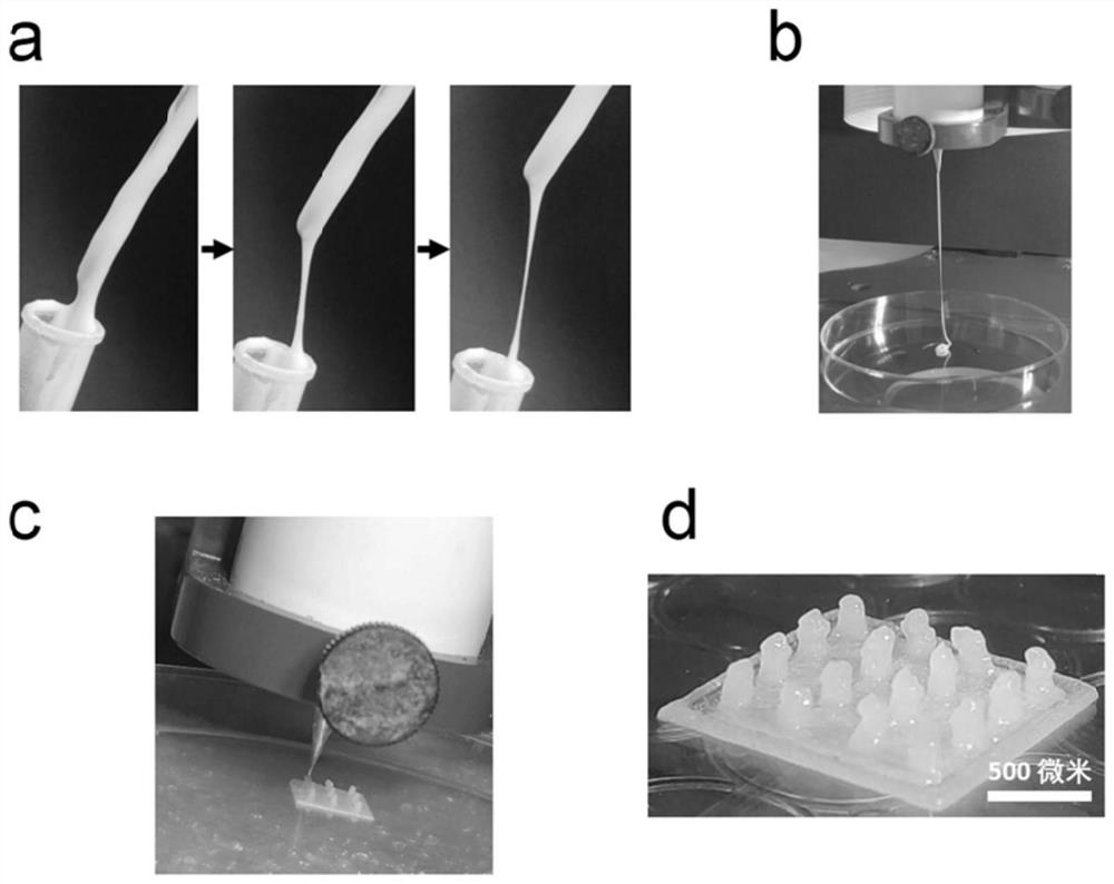 A preparation method and application of 3D printing microneedle patch