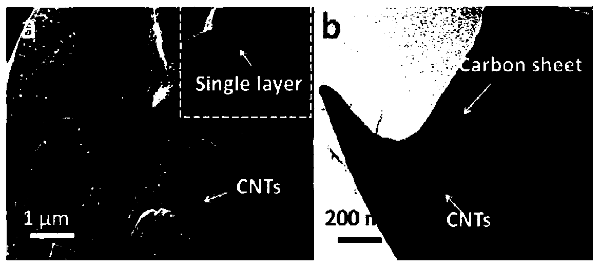 Preparation method of hollow cactus-shaped carbon plate-carbon nanotubes