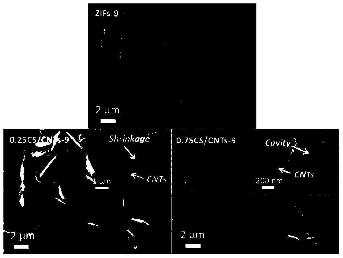 Preparation method of hollow cactus-shaped carbon plate-carbon nanotubes