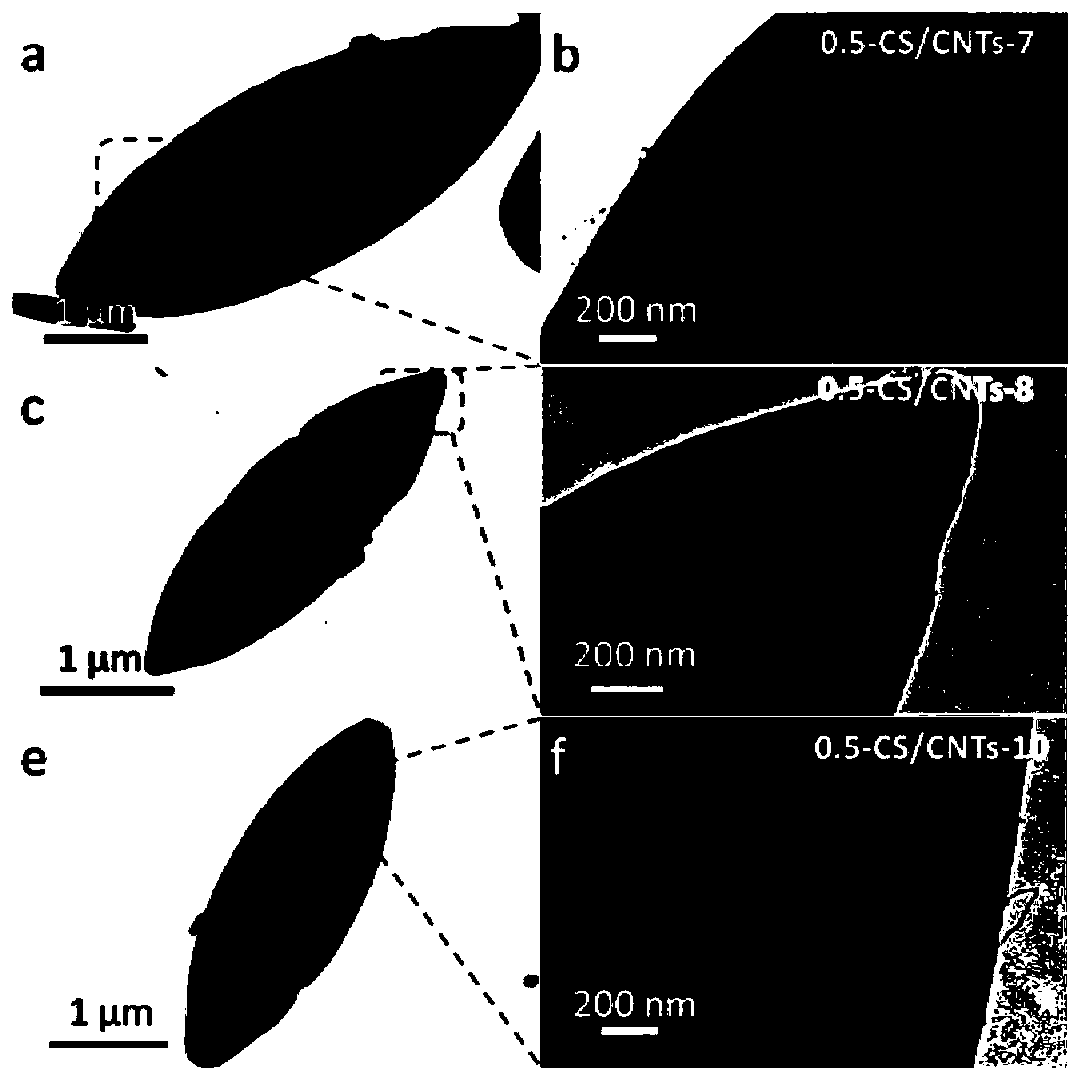 Preparation method of hollow cactus-shaped carbon plate-carbon nanotubes