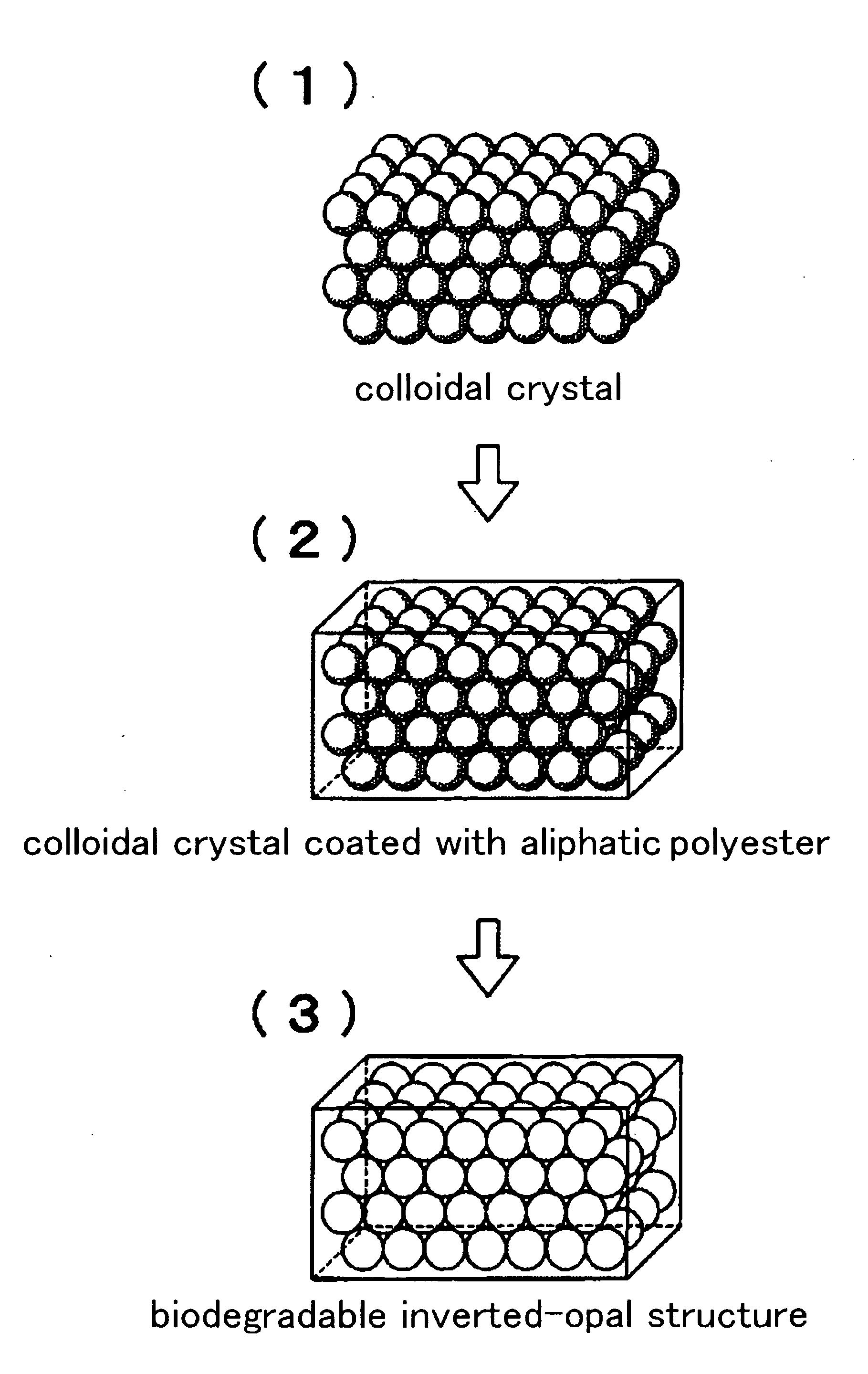 Biodegradable Inverted-Opal Structure, Method for Manufacturing and Using the Same, and Medical Implant Comprising the Biodegradable Inverted-Opal Structure