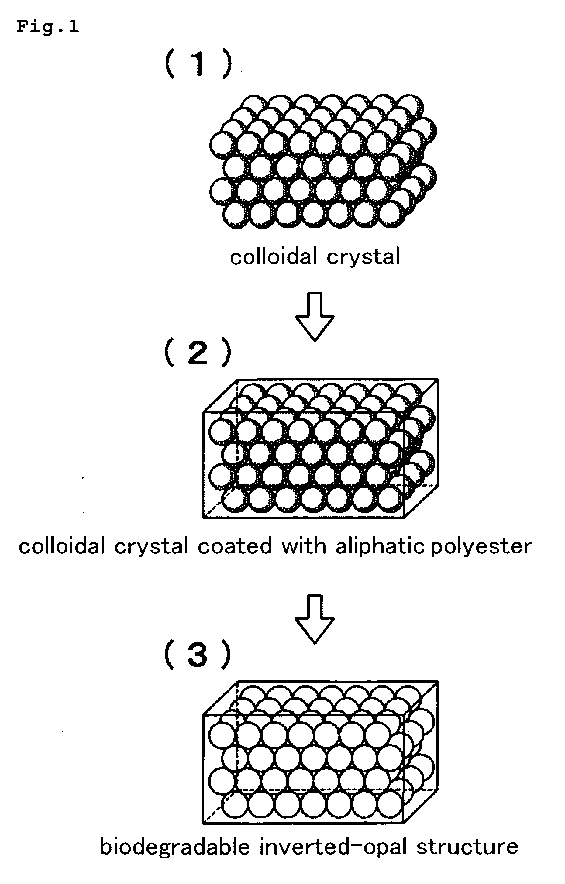 Biodegradable Inverted-Opal Structure, Method for Manufacturing and Using the Same, and Medical Implant Comprising the Biodegradable Inverted-Opal Structure