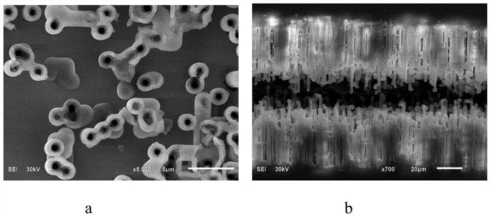 Chemical forming solution, chemical forming method and anode foil