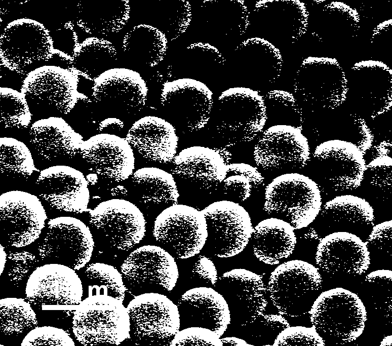 Spherical hollow mesoporous carbon shell and preparing method thereof