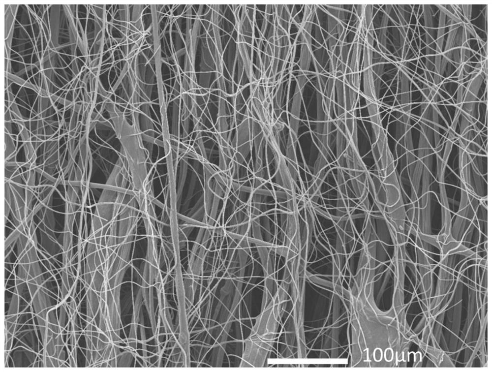 A kind of multi-diameter size electrode and its preparation method and application