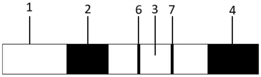 Colloidal gold card for detecting pesticide residues as well as preparation method and application of colloidal gold card