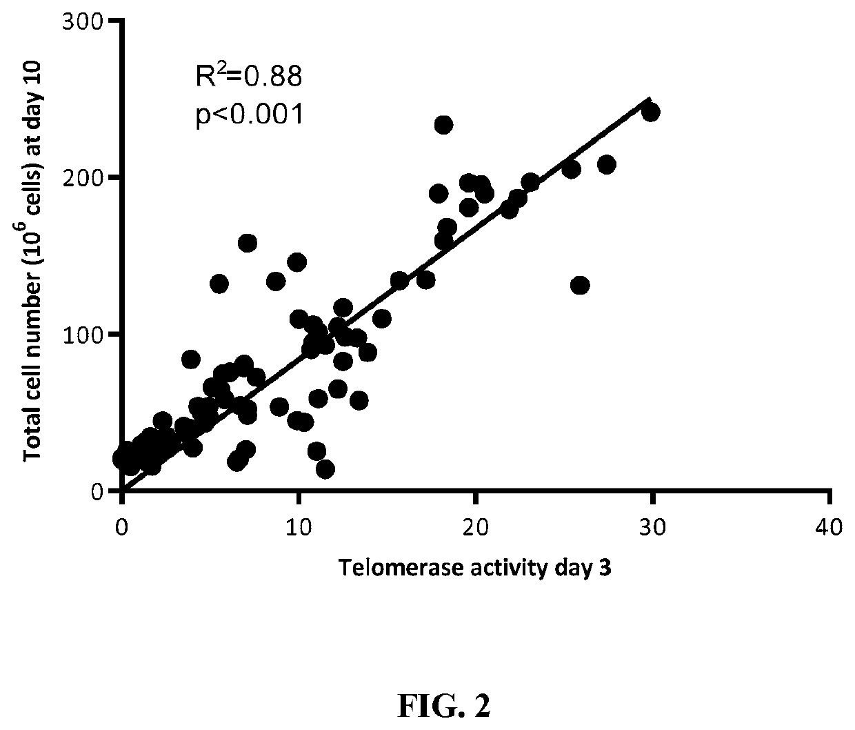 Telomerase holoenzyme complex and methods of use thereof