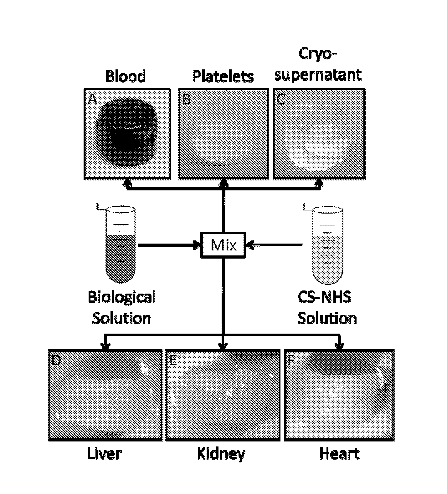 Intraoperative and blood derived adhesives