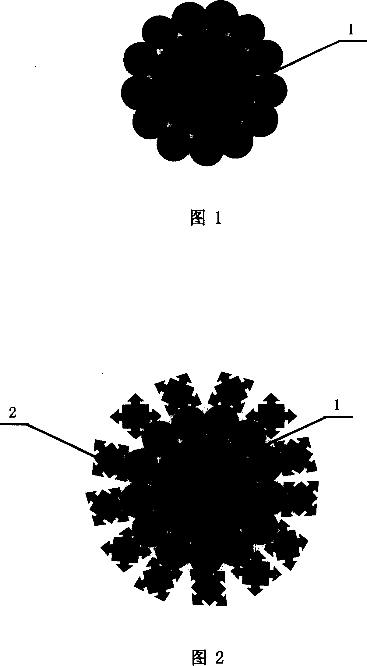 An avidin/ streptavidin magnetic complex particle and the process thereof and purpose thereof