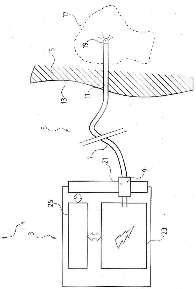 Light therapeutic apparatus