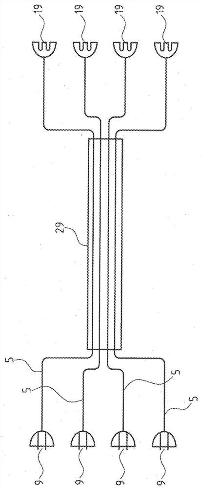 Light therapeutic apparatus