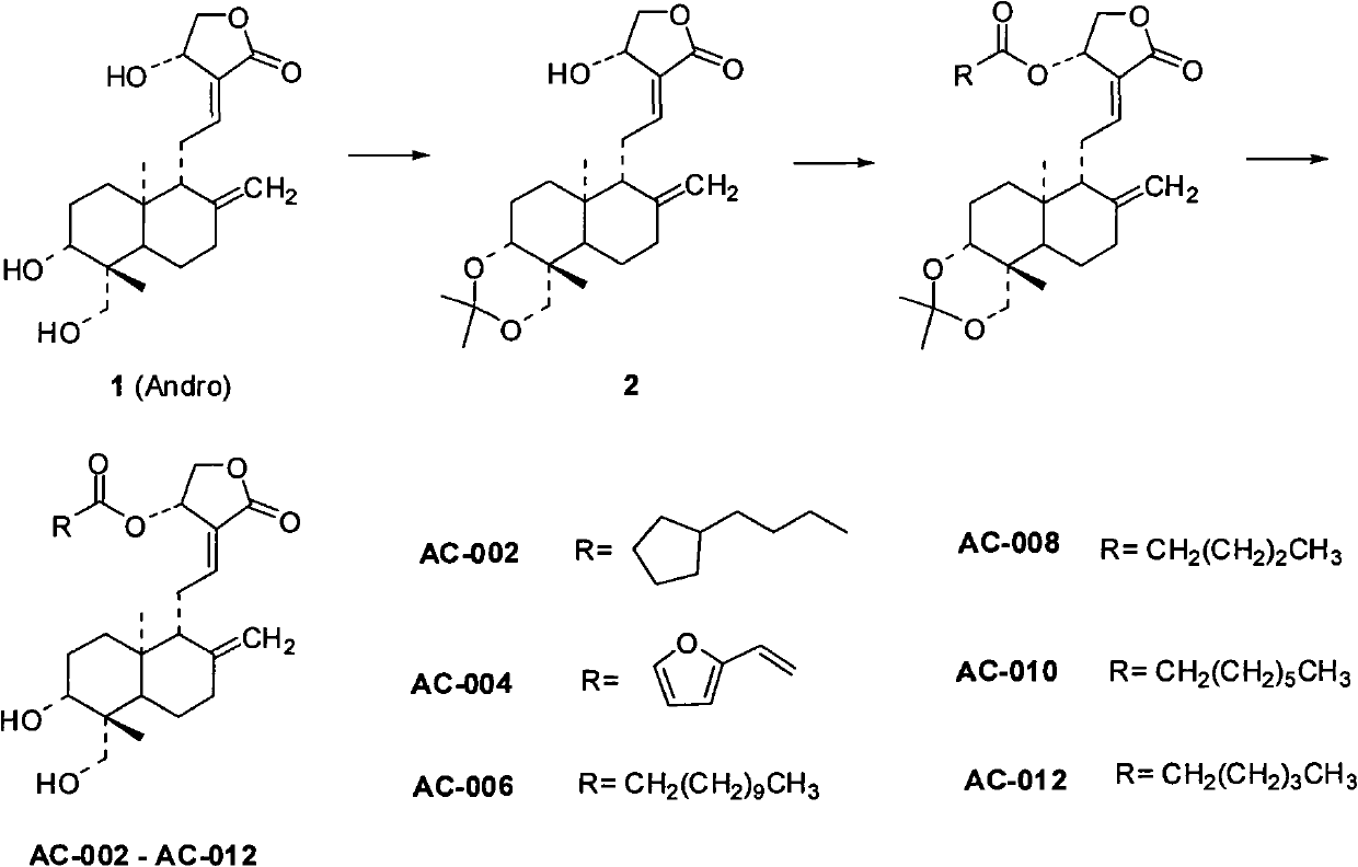 Andrographolide derivative and preparation method and application thereof