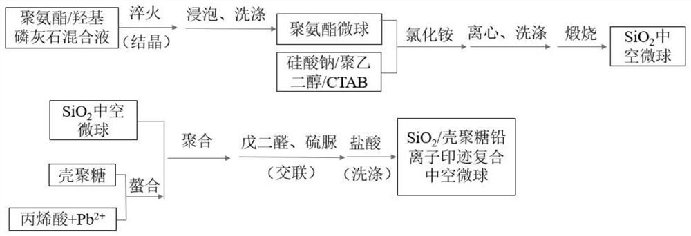 a sio  <sub>2</sub> Preparation method of chitosan-based lead ion-imprinted hollow microspheres