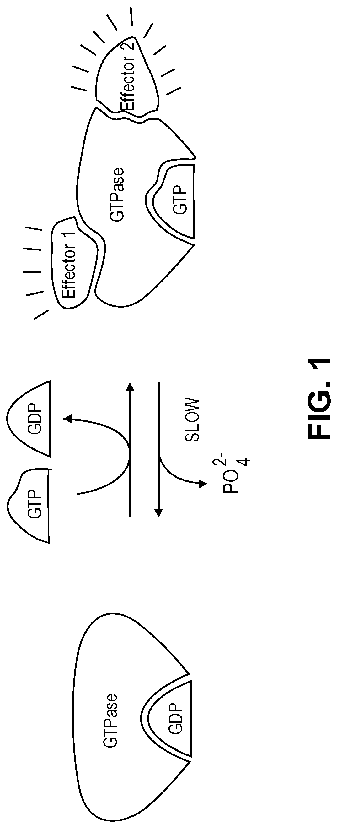 Substituted quinazoline compounds and methods of use