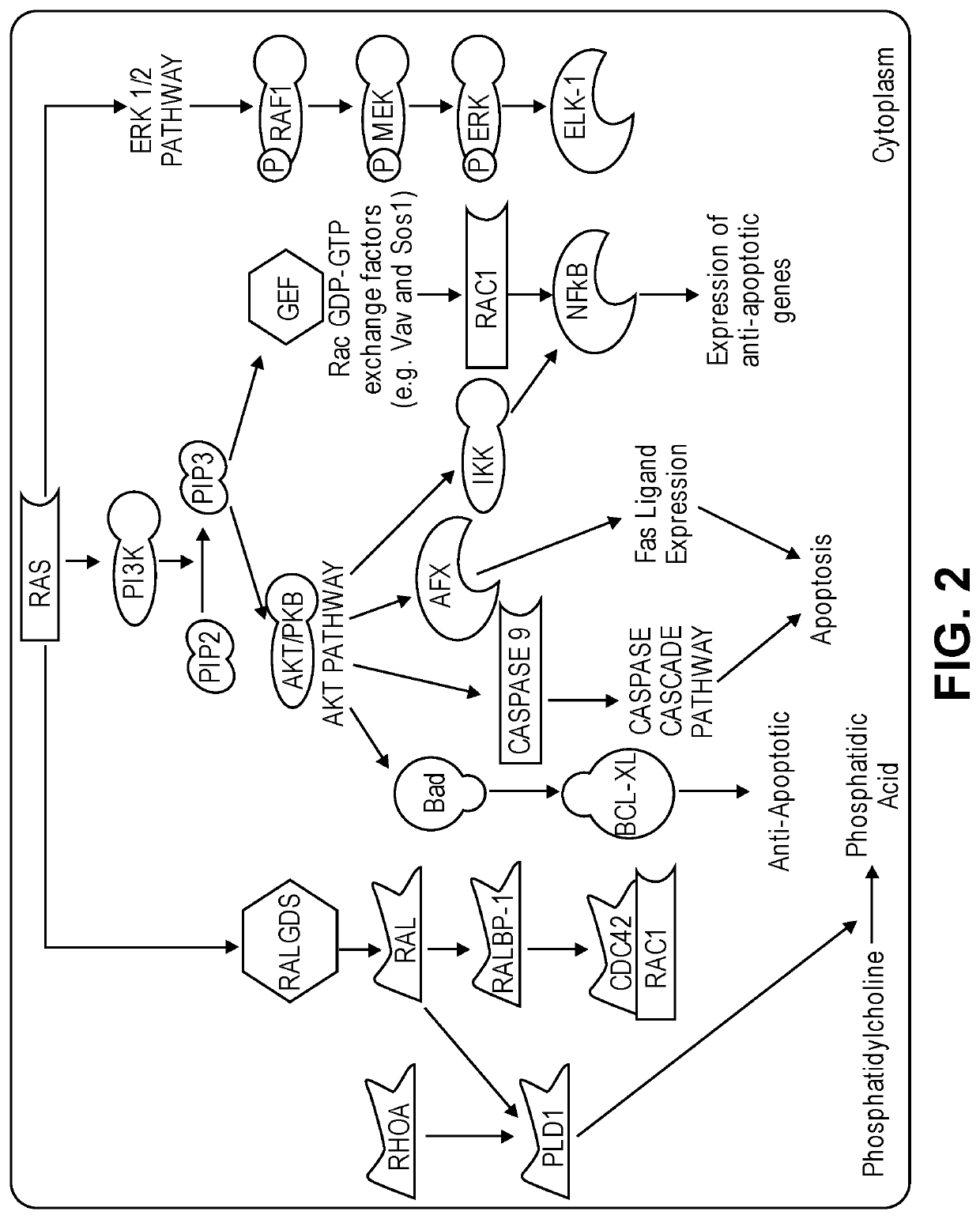 Substituted quinazoline compounds and methods of use