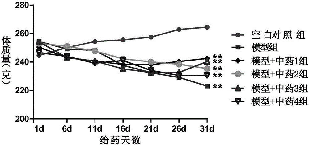 Pharmaceutical composition for preventing and treating RA (rheumatoid arthritis)