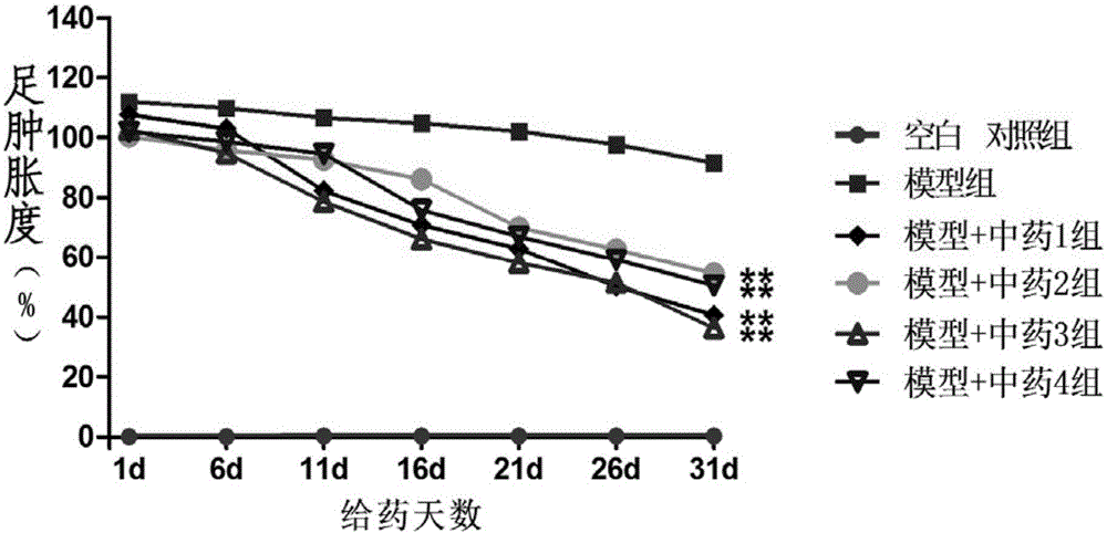 Pharmaceutical composition for preventing and treating RA (rheumatoid arthritis)