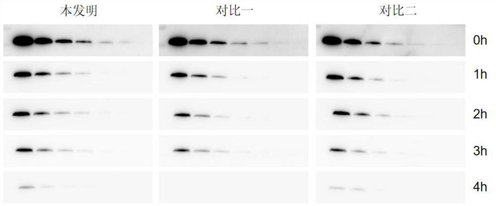 Chemiluminiscence substrate detection kit with high sensitivity and stable signals