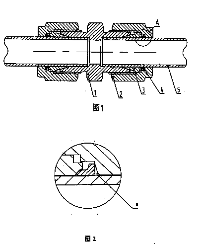 Novel two-ferrule tube fitting