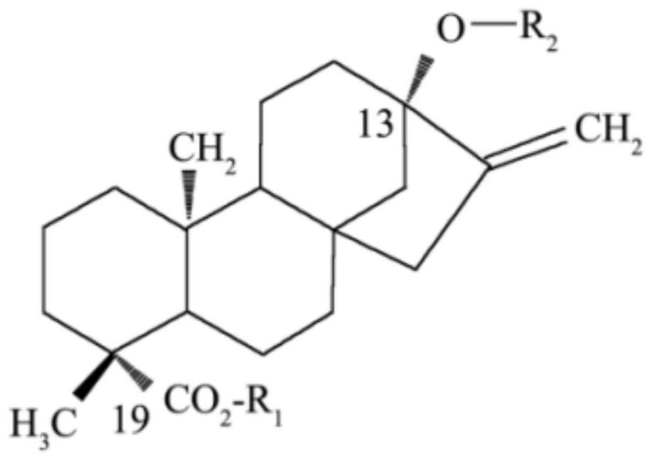 High-purity enzyme modified stevioside and preparation method thereof