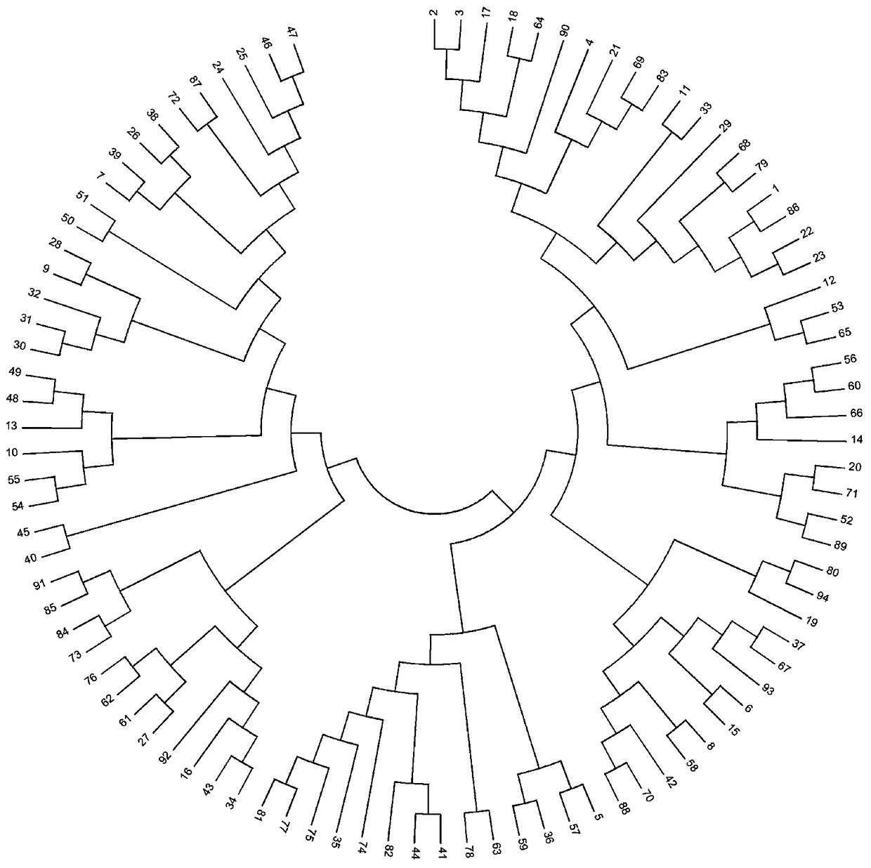 Genetic identification method of cotton germplasm based on ssr marker and capillary electrophoresis