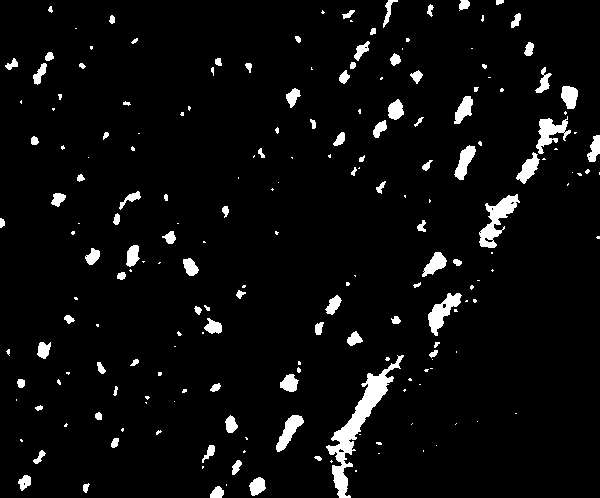 Preparation method for molybdenum disulfide nanosheets at normal pressure