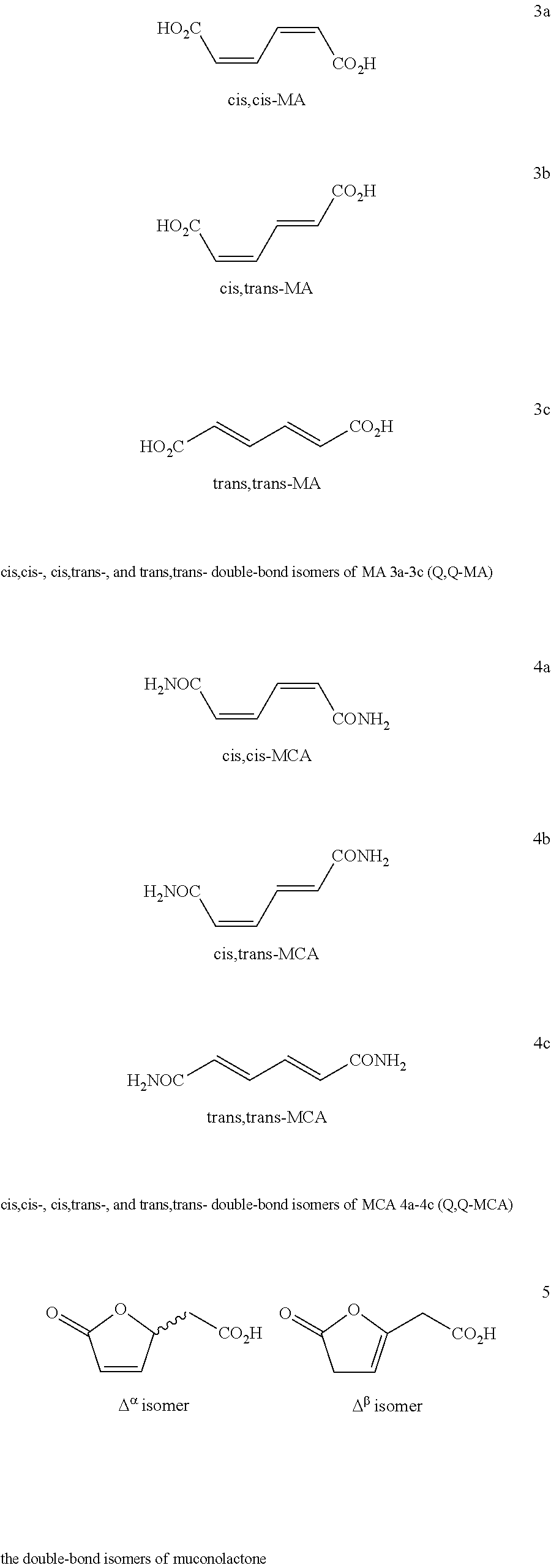 Process for Preparing Caprolactam and Polyamides Therefrom