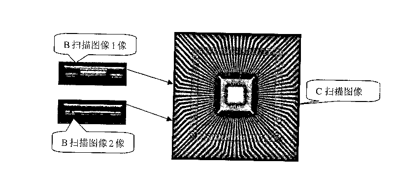 Construction method of B scanning image of ultrasonic scanning microscope