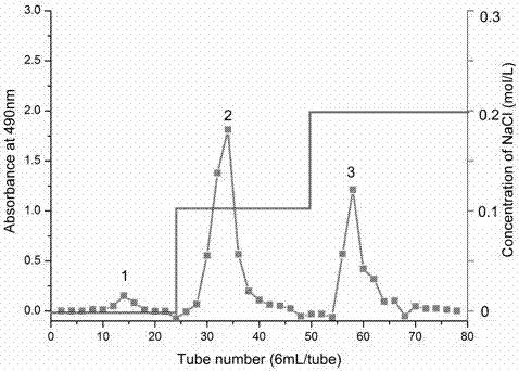 Apocynum venetum polysaccharide, extraction method and application thereof