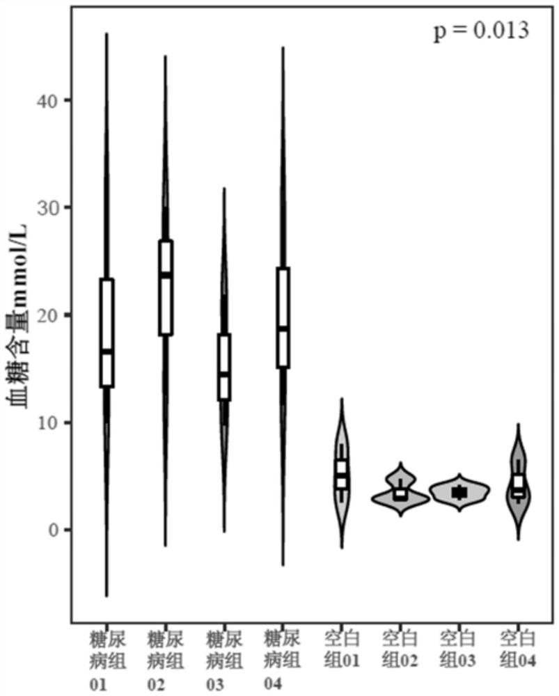 A method for constructing a diabetic zebrafish model