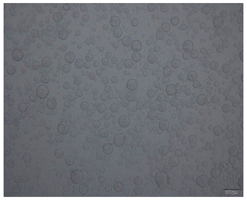 Method for preparing protein hydrogel microspheres by taking bovine serum albumin as element reversed-phase microemulsion