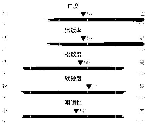 Rice quality detection and displaying method