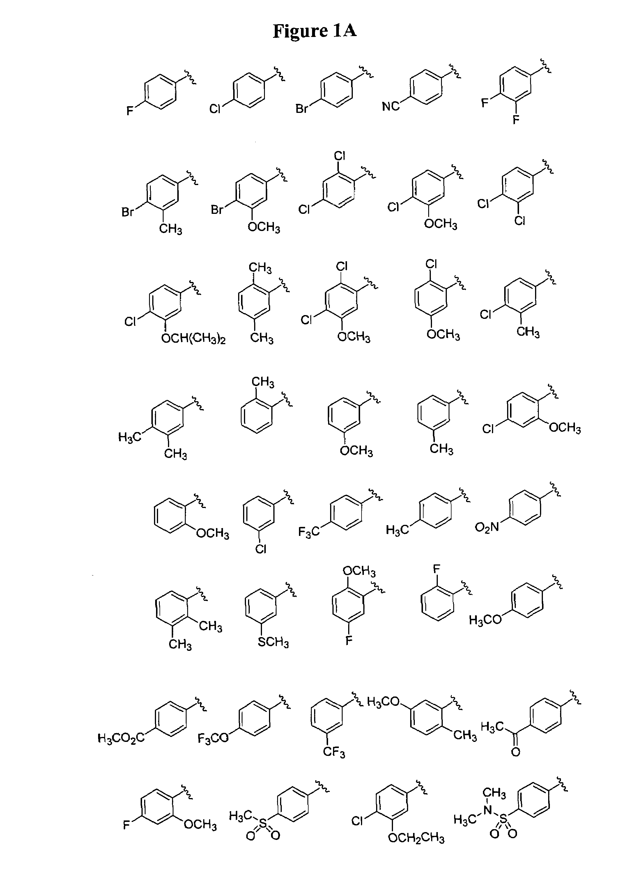 Bicyclic and bridged nitrogen heterocycles