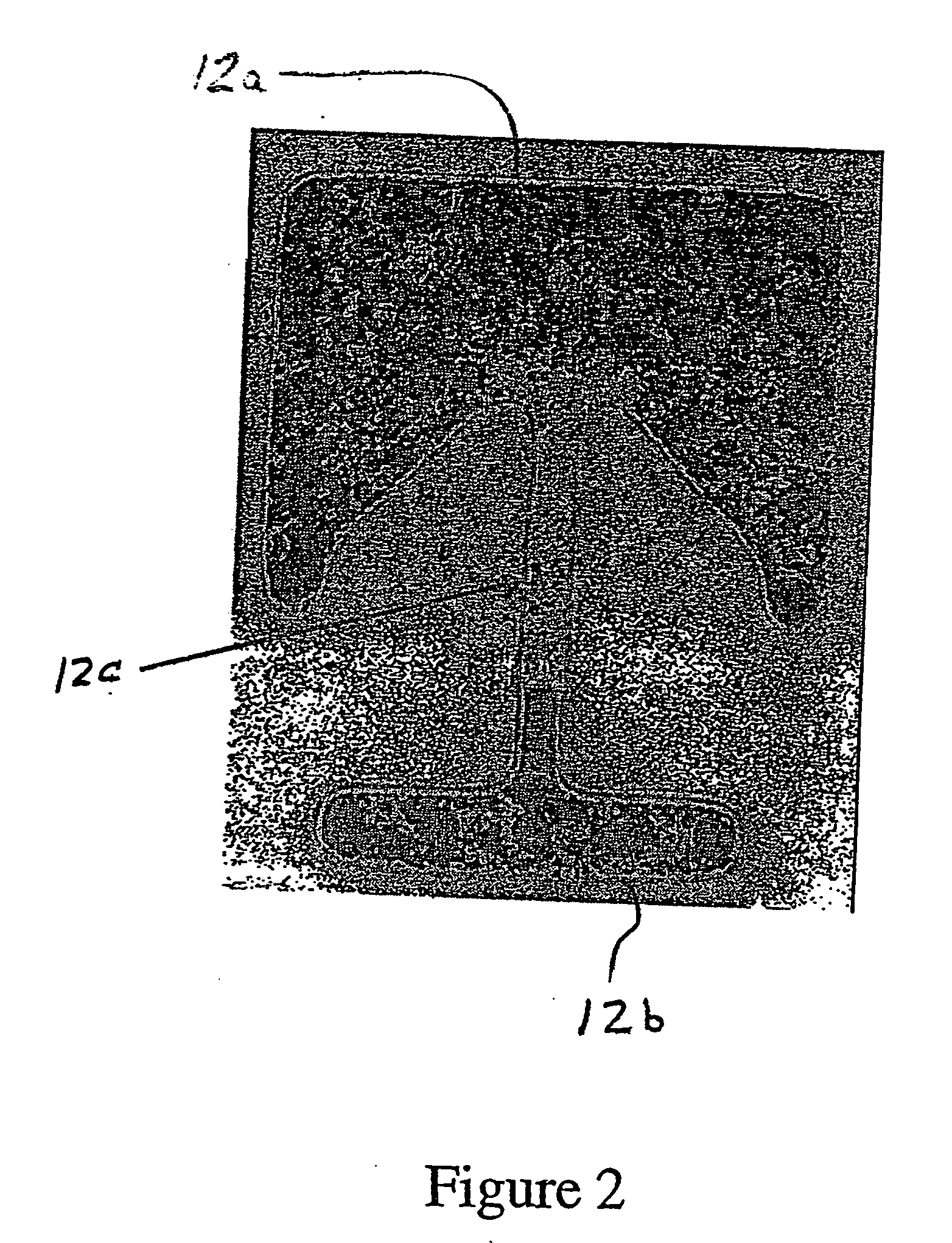 Programmable Semiconductor Device