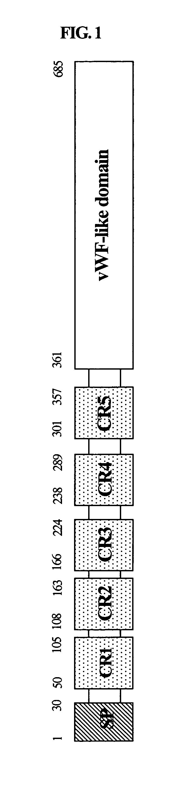 Polypeptide and DNA thereof