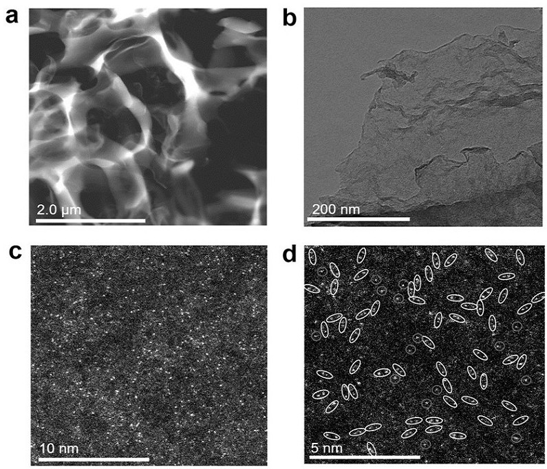 Iridium-containing iron monatomic catalyst, preparation method and application