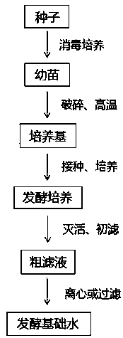 Method for producing cosmetic base lotion by fermenting rice bud material