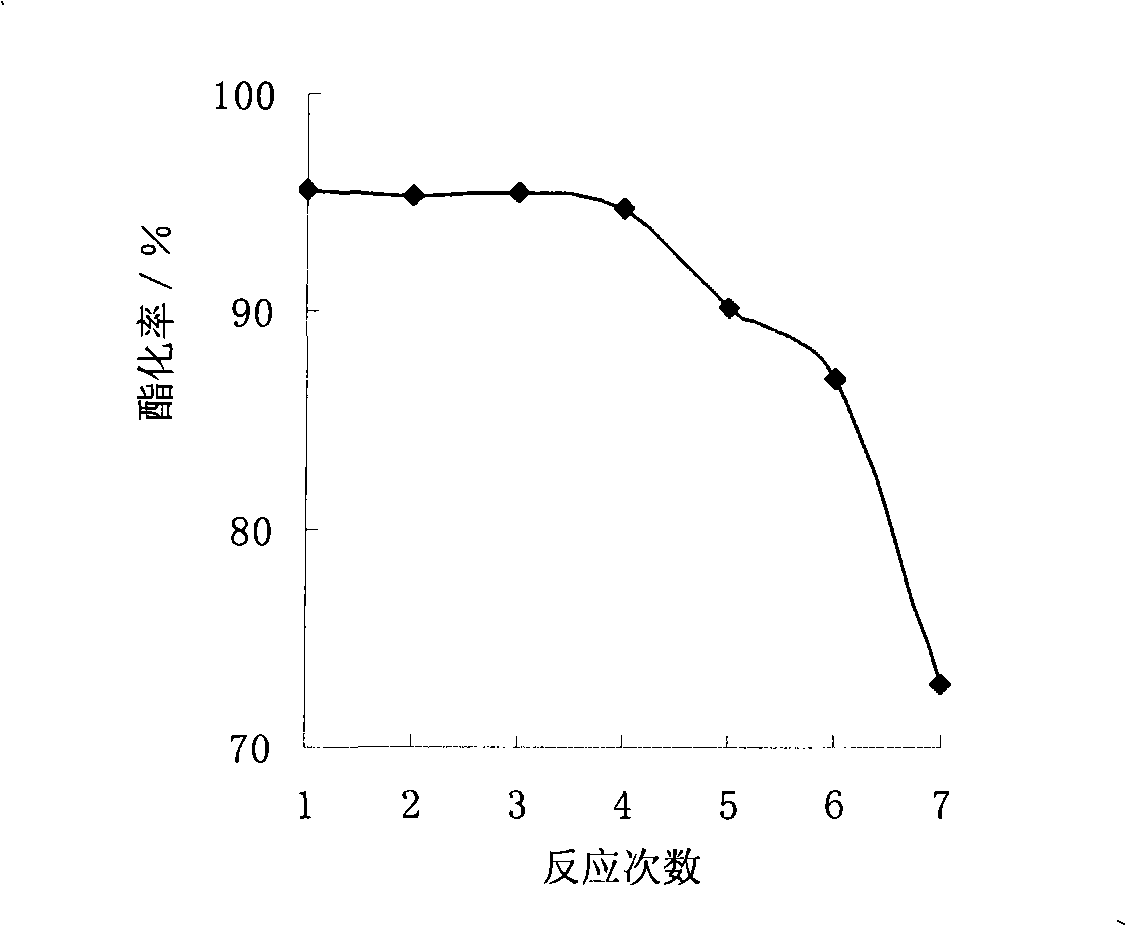 Method for producing biodiesel by using tallowseed oil and special solid catalyst thereof