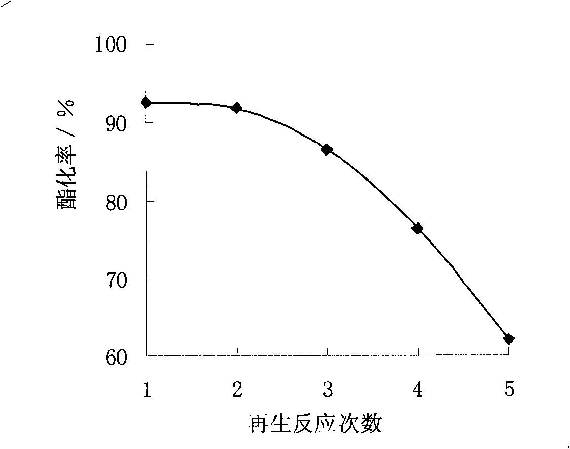 Method for producing biodiesel by using tallowseed oil and special solid catalyst thereof