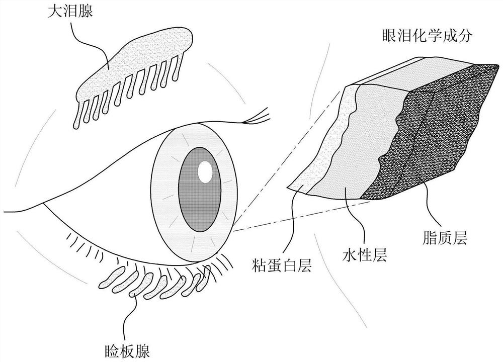 Laser corneal cutting system and method for treating xerophthalmia