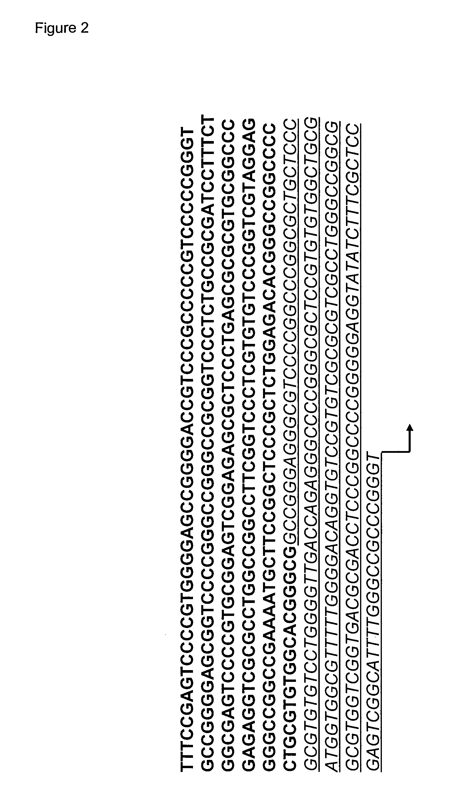 Reverse genetics using non-endogenous pol i promoters