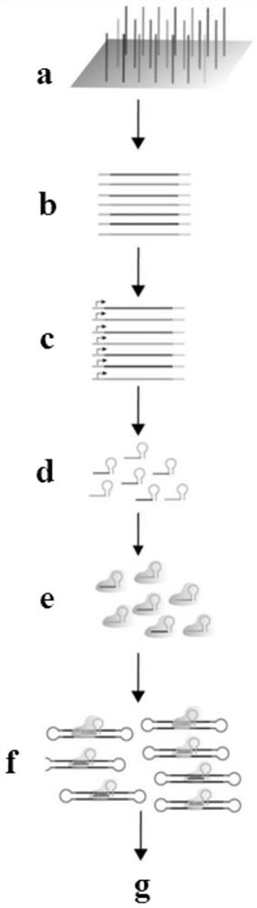 Method capable of carrying out in-vitro off-target detection and sgRNA screening in batches