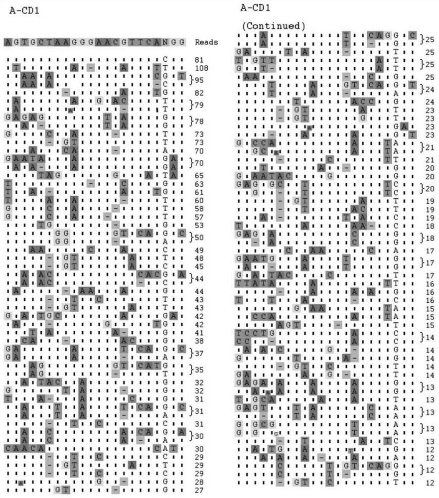 Method capable of carrying out in-vitro off-target detection and sgRNA screening in batches