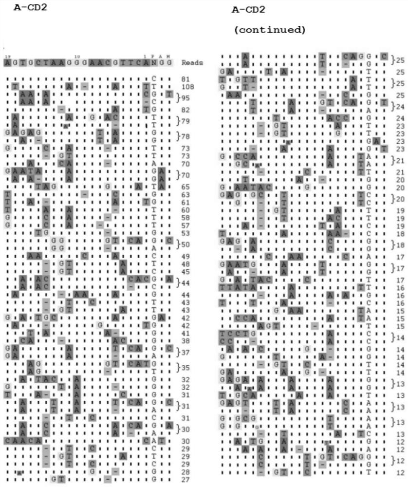 Method capable of carrying out in-vitro off-target detection and sgRNA screening in batches