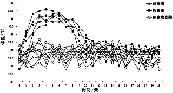 Caprine herpesvirus I vaccine strain and application thereof