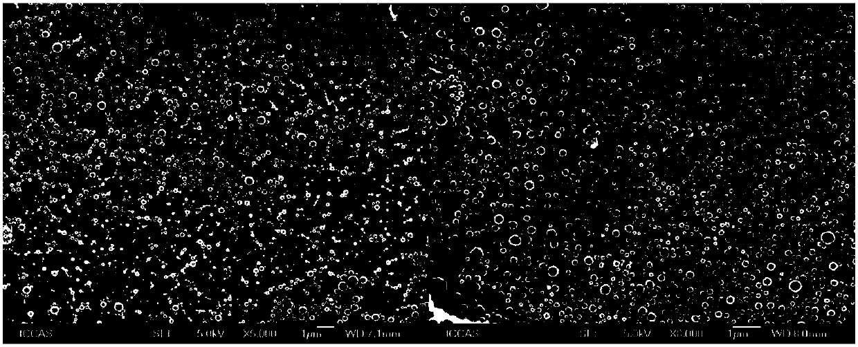 A hybrid hydrogel based on chemical crosslinking of polyester nanoparticles and its preparation method and application